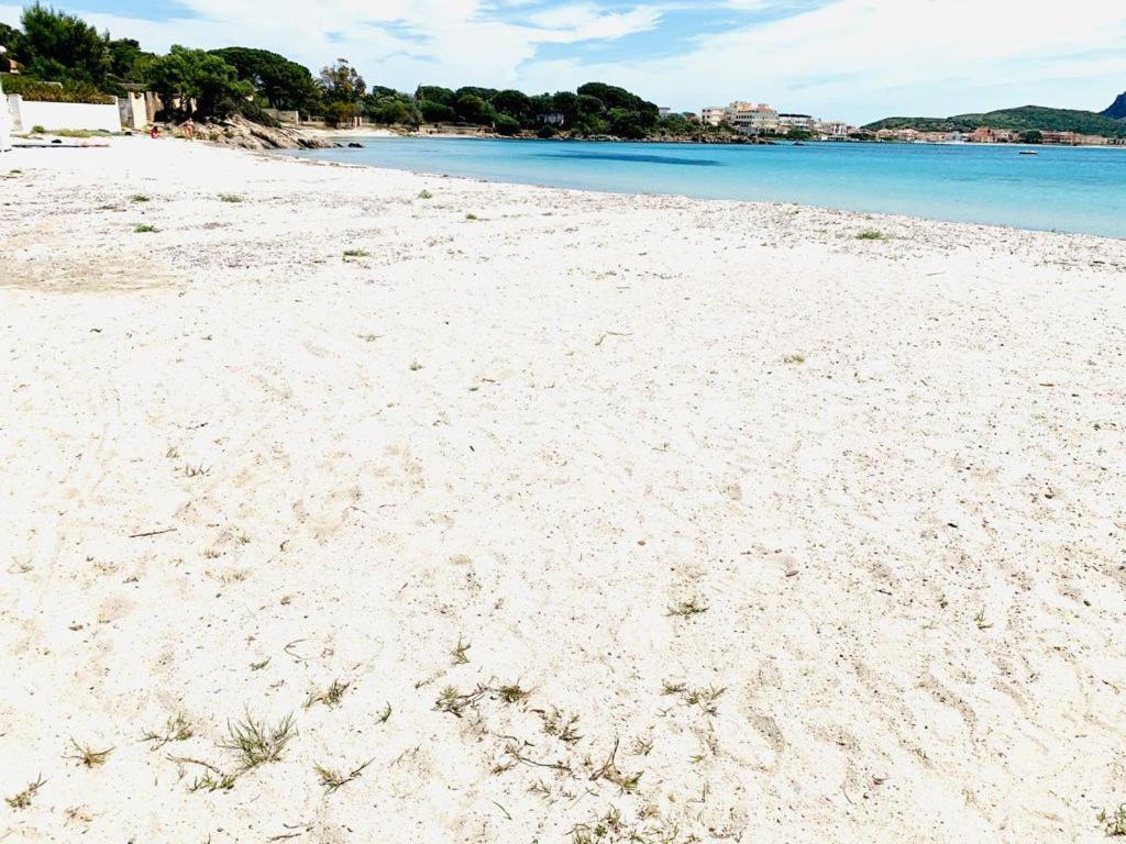 Residenze Il Girasole Lejlighedshotel Golfo Aranci Eksteriør billede